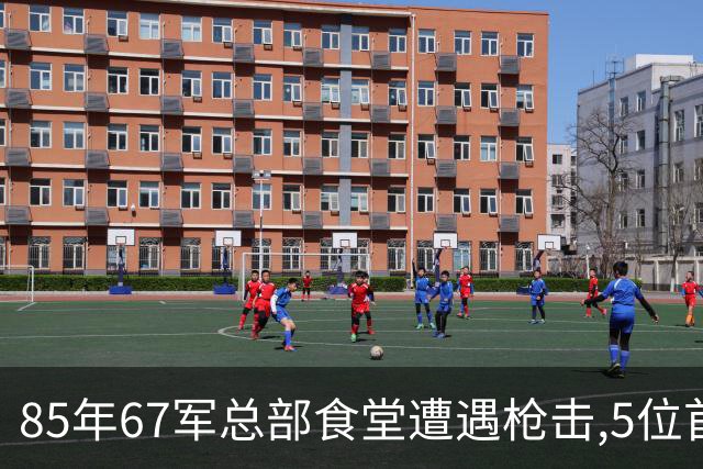 85年67军总部食堂遭遇枪击,5位首长生死一线,凶手身份令人太意外
